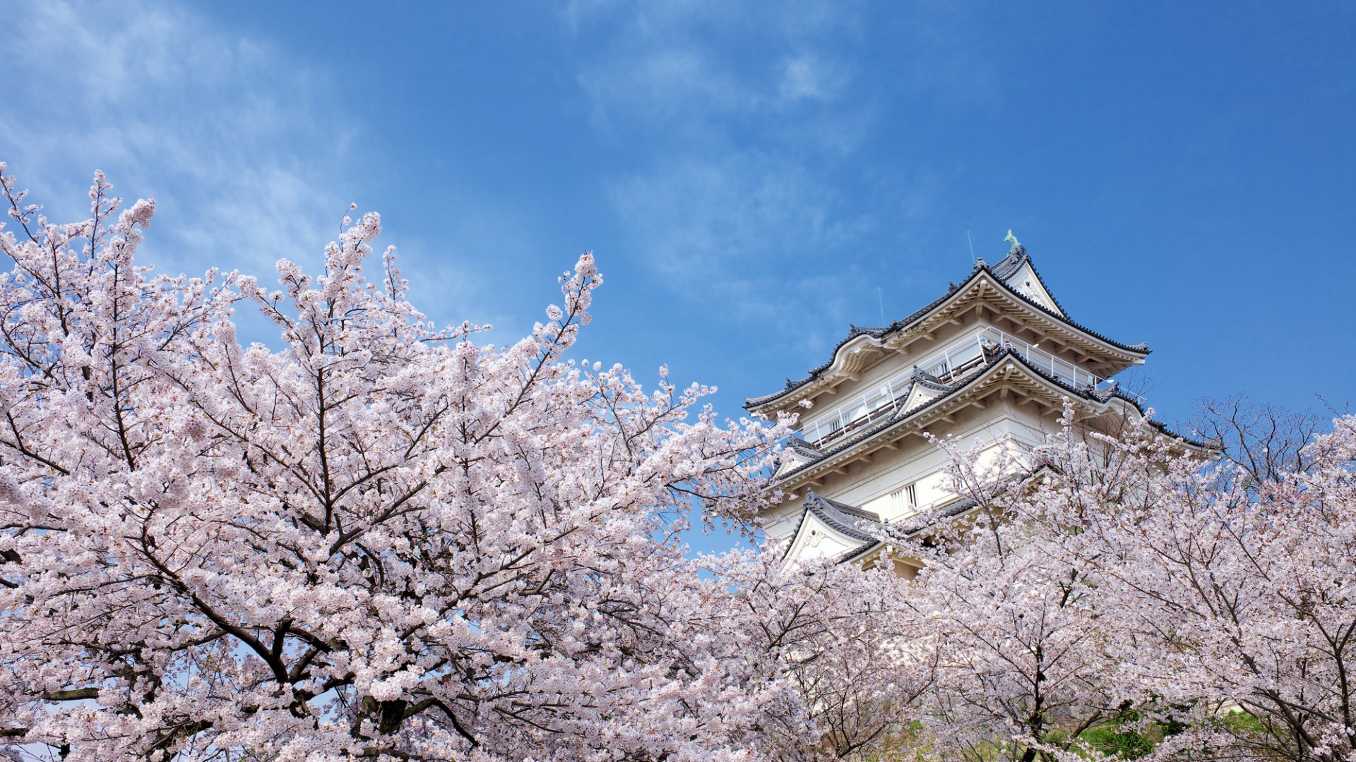 🏯 도키와 성 전망대(도키와조 덴보다이) 이미지 4